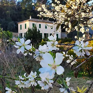  Country house Sa Maniga Spain